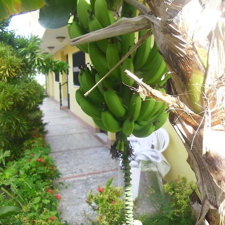 Residencial El Mirador Aparthotel Бока Чика Екстериор снимка